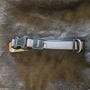 🔴Coastal Inspire dog collar